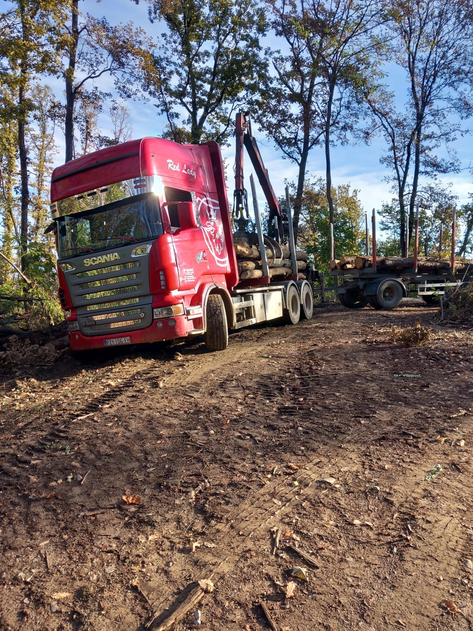 Utovar i prijevoz drva