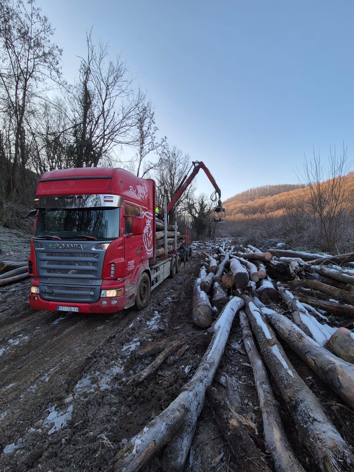 Utovar i prijevoz drva
