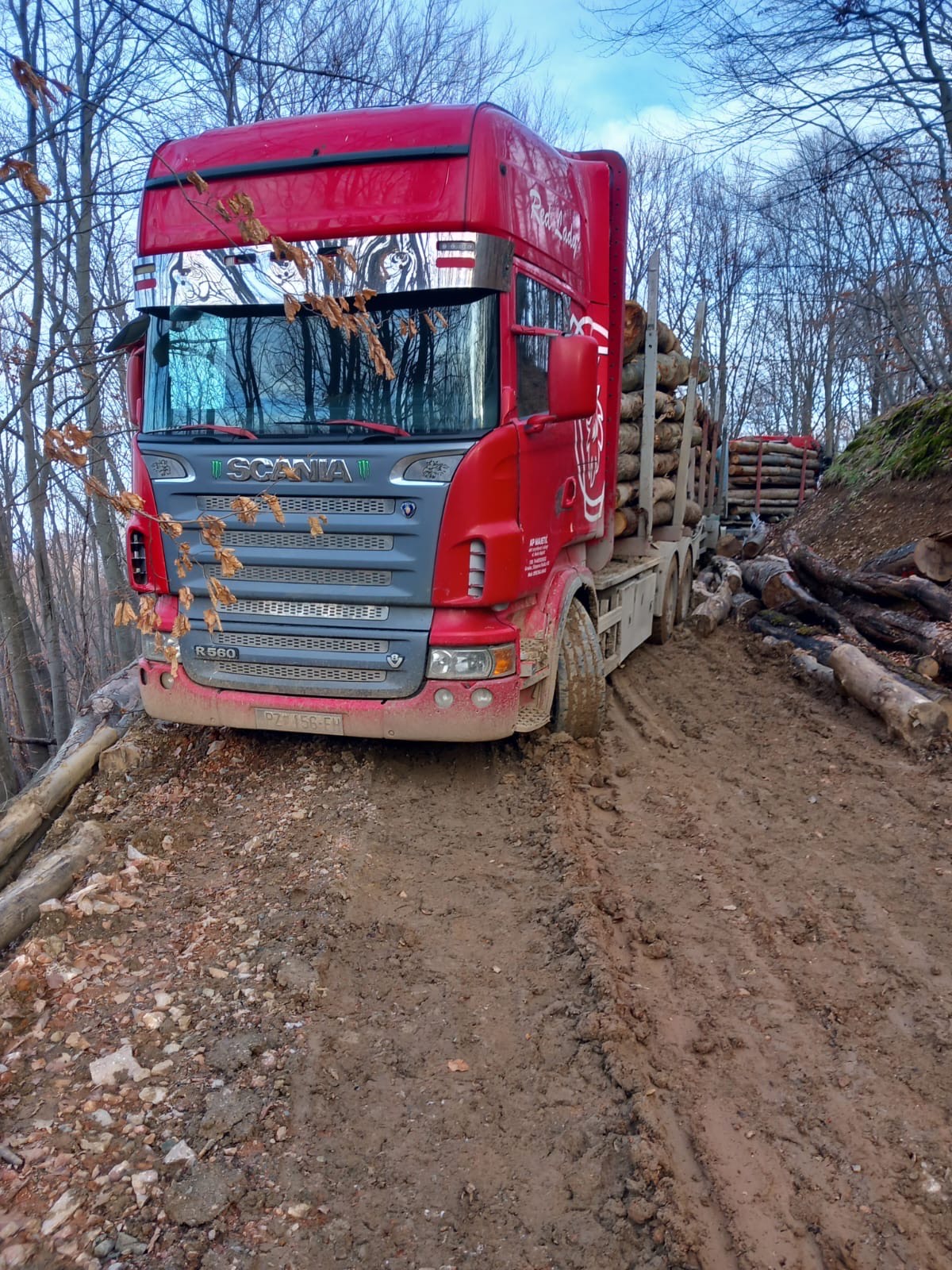 Prijevoz drva u šumi