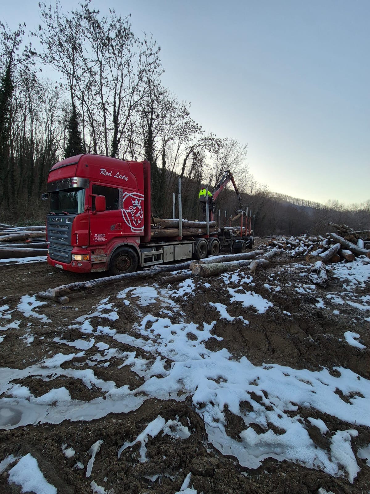 Utovar trupaca u kamion